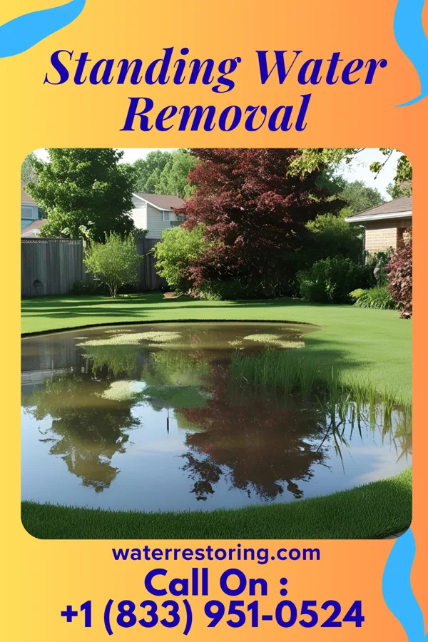 Standing Water Removal in Framingham, MA